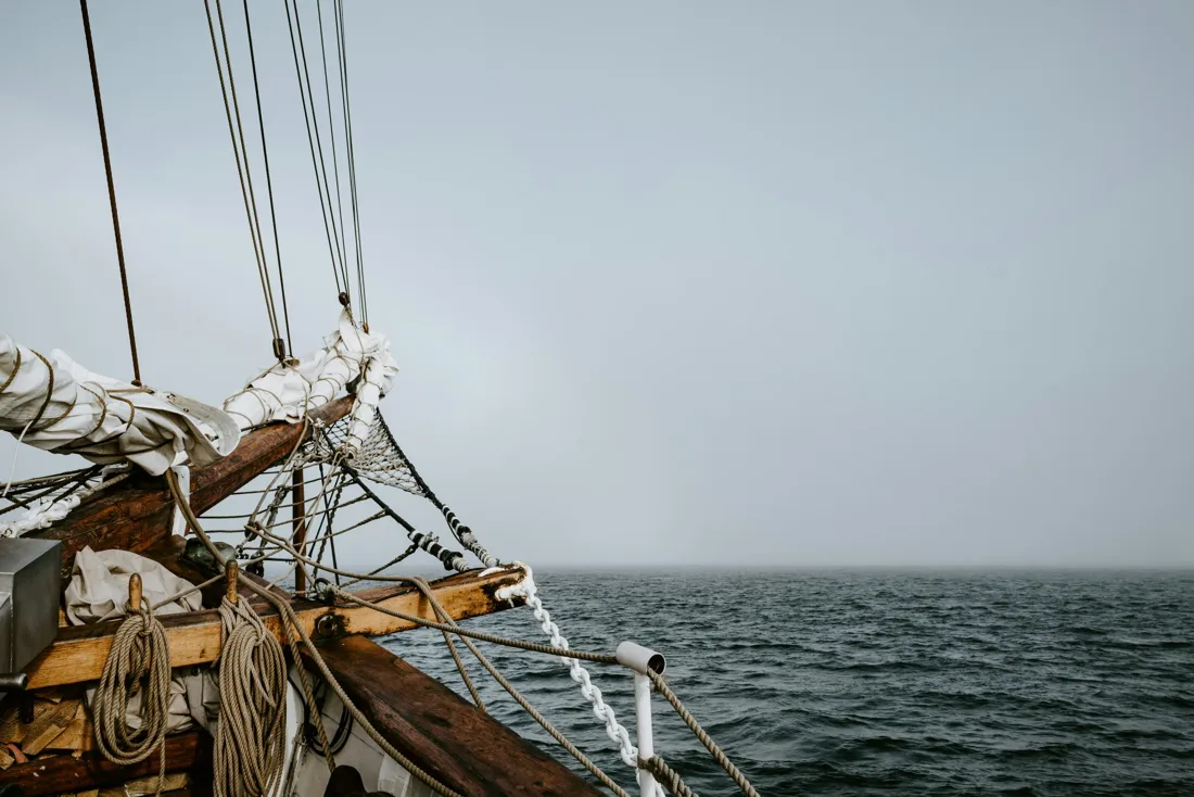The Survival Stories Subscription